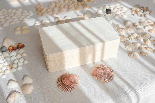 Handcrafted seashell jewelry box with intricate marine decorations