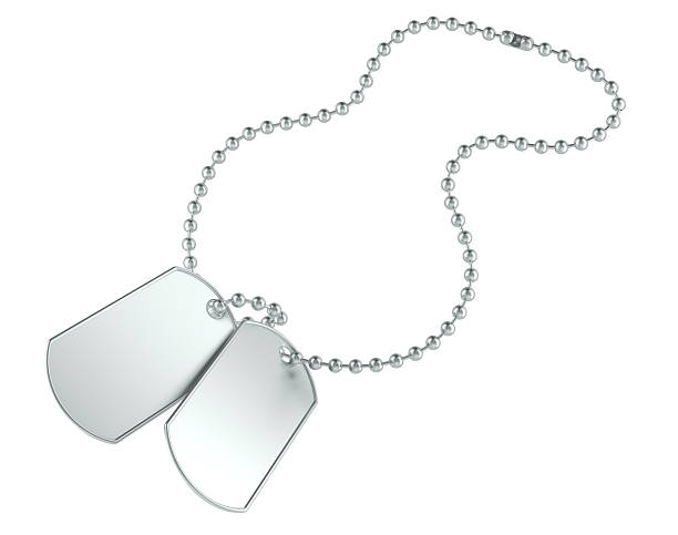 Blank military dog tags on metal ball chain. 3D rendering isolated on white background