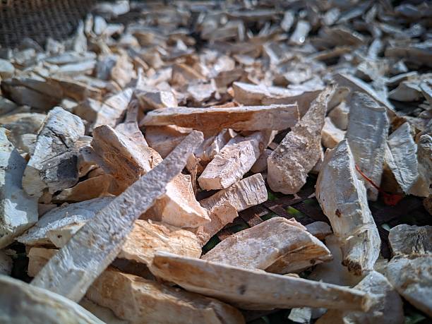 istock cassava is cut into small pieces to be made into chips 2222418216