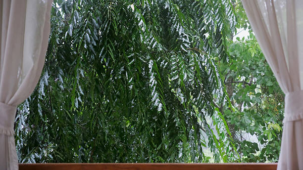 istock Raining over the trees outside the window 2222418888