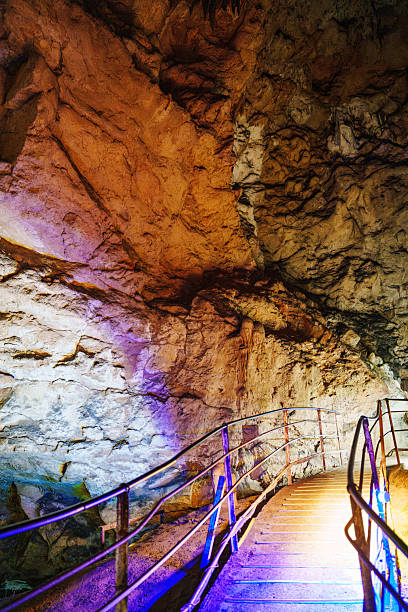 A cave with stalagmites and stalactites, illuminated with colorful lighting that highlights the natural rock formations. The textured walls and mineral structures create an ethereal atmosphere.