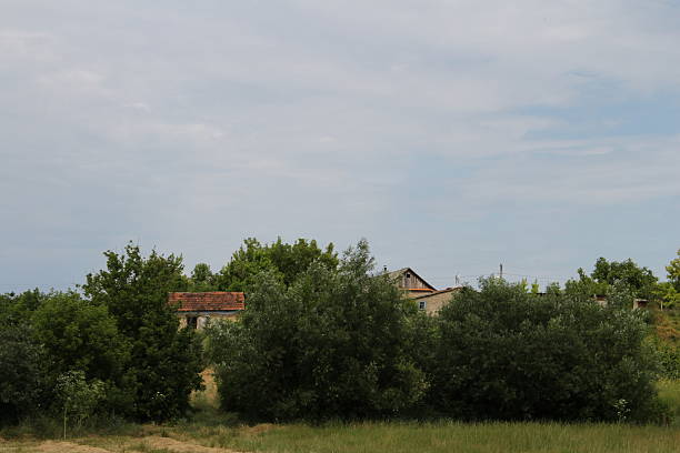 A house in the distance. Tree. Outdoor. Sky. Grass. Field