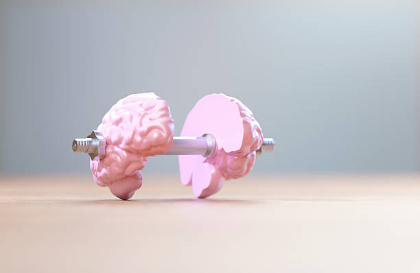 istock Brain Shaped Dumbbell In Front Of Gray Background 2222429662