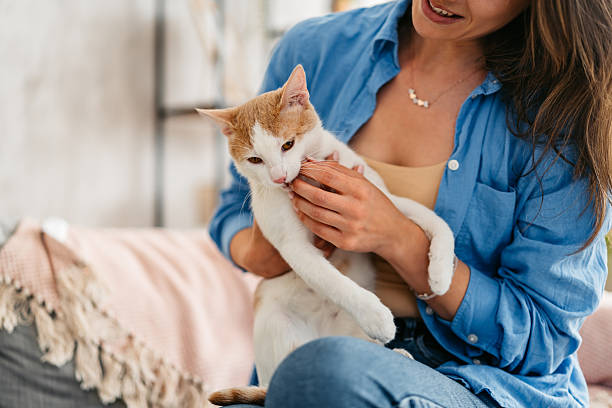 istock Young Woman Holding Her Cat While Sitting On The Sofa At Home 2222431428
