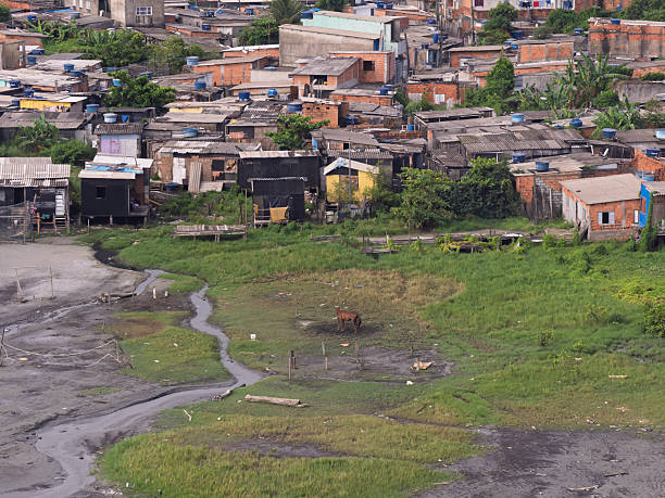 istock favela in santos extuary brasil  near tev terminal 2222439877