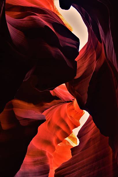 istock Lion's Face - Antelope Canyon, Page AZ 2222441829