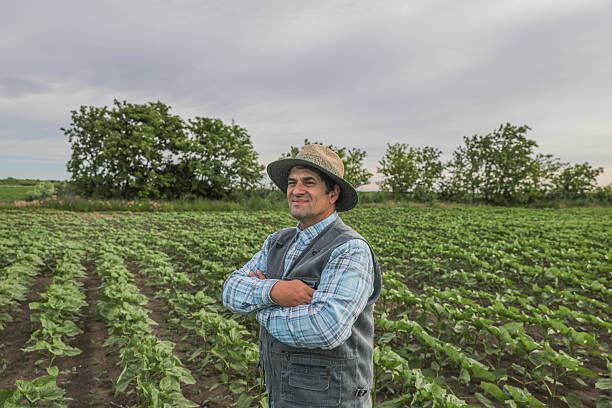 istock Smiling Middle-Aged Farmer Standing Confidently in Crop Field 2222442108