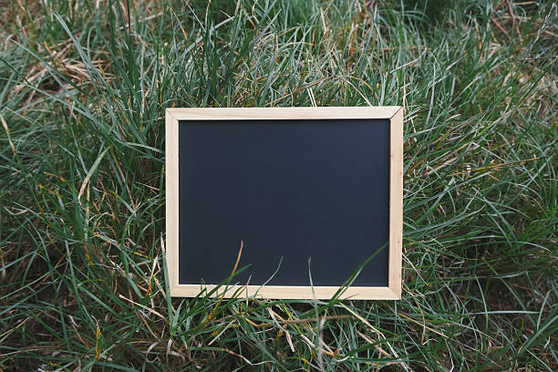 istock Blackboard is sitting in the grass 2222449268