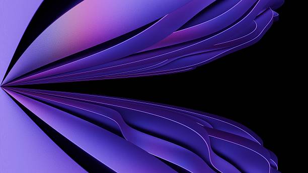 istock a purple flower with a black background 2222455082
