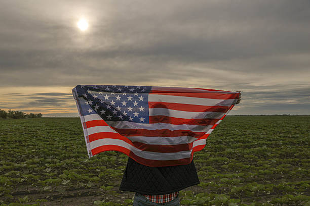 A middle-aged male farmer standing in a green cultivated field holding or wearing the American flag in various poses. The dramatic sky enhances the patriotic and symbolic tone of the scene. The man wears a plaid shirt and dark vest, with his face sometimes visible and sometimes hidden, portraying themes of national pride, freedom, agriculture, and American rural identity.