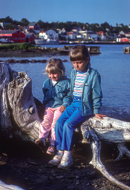 istock Lunenburg - Girls on Driftwood - 1985 2222460596