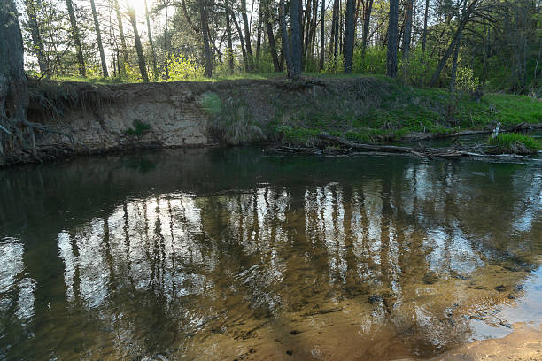istock A serene forest river flows gently through a lush landscape, illuminated by the warm glow of a spring evening sun. This tranquil scene invites nature lovers to unwind and embrace the beauty of the outdoors. 2222463242