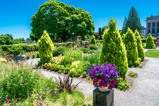 Garden with tulips and different colourful flowers.