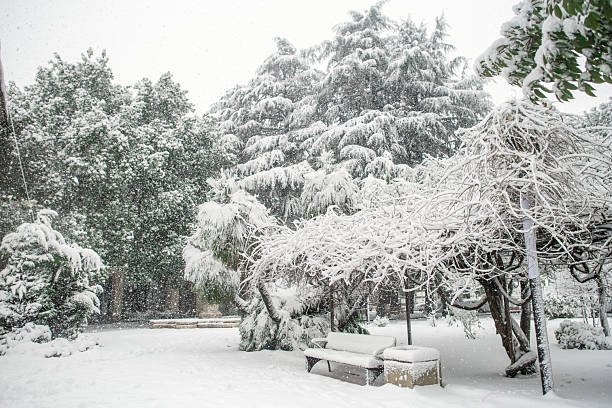 City park during snowfall in unusually cold weather in tropical climate.