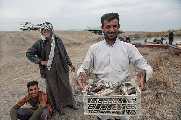 Basra, Iraq. November 3rd 2018 Marsh Arab fishermen return with their catch from the Hamar Marsh, low water levels and increased salinity have reduced fish size and stock in the Southern Marshes of Iraq.