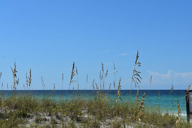 View of the Beach from the Boardwalk
