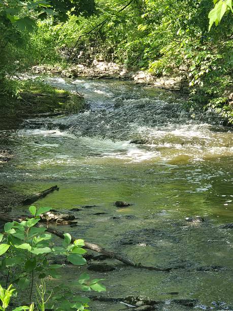 istock Woodland Stream 2222483316