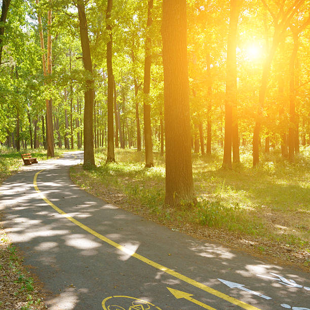 istock Sunrise in a beautiful park with bicycle and walking path. 2222483774