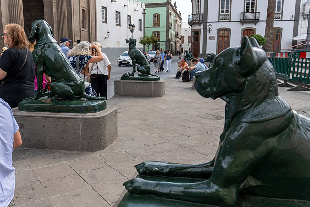 Las Palmas de Gran Canaria Canary islands Spain on November 21, 2024.  Eight fine dog statues facing the Cathedral of Santa Ana. in Vegueta neighbourhood. The Canary Islands were named after the hunting dogs that the Spanish found there (Canis - dog).