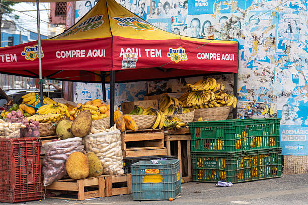 Salvador de Bahia Brazil on November 29, 2024. Selling bananas at a street.