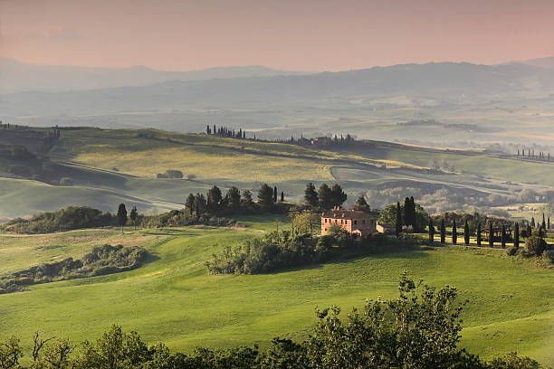 istock Hazy sunrise on Val d'Orcia Valley, podere -farmsteads- among rolling hills, green cereal fields and orchards. San Quirico d'Orcia-Tuscany-Italy-015 2222493264