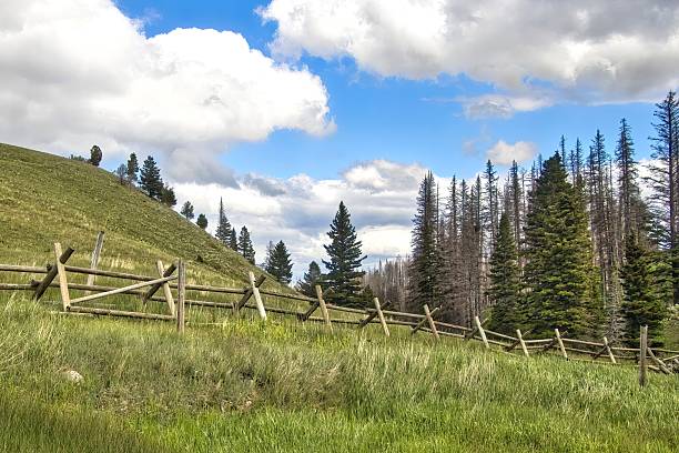 istock Wooden Fence Between Hill and Forest 2222498638