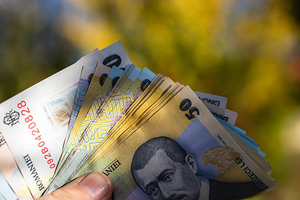istock Romanian LEI Currency Banknote. RON Money Currency 2222498804