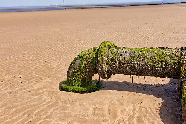 istock A moss-covered pipe juts out of a sandy surface. 2222499601