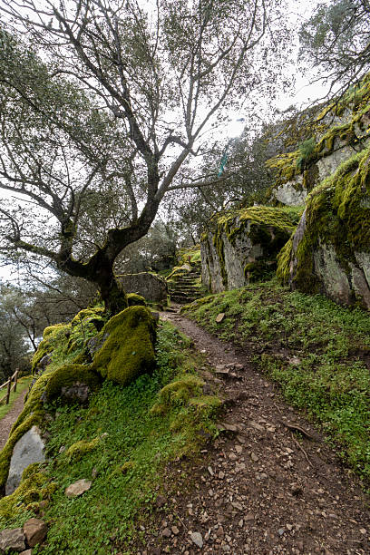 istock Hiking trail winds through mossy rocks and trees in nature 2222502527