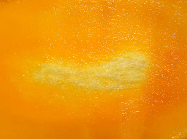 istock Detail of Mallika mango 2222503252