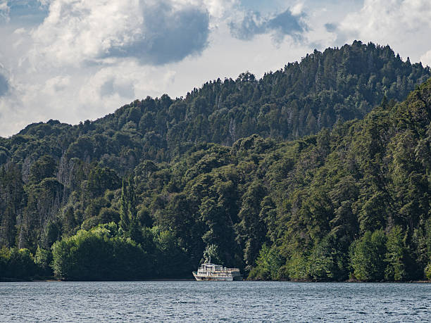 istock An abandoned cruise on a lake, at the forest 2222503299