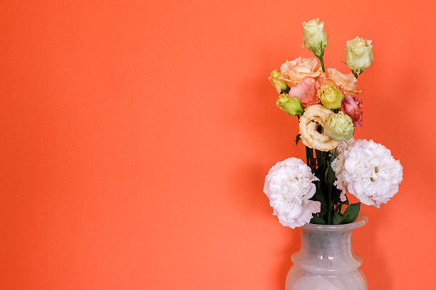 Bouquet of Eustoma isolated on a orange wall background.