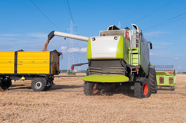 istock Harvester combine harvesting wheat 2222508646