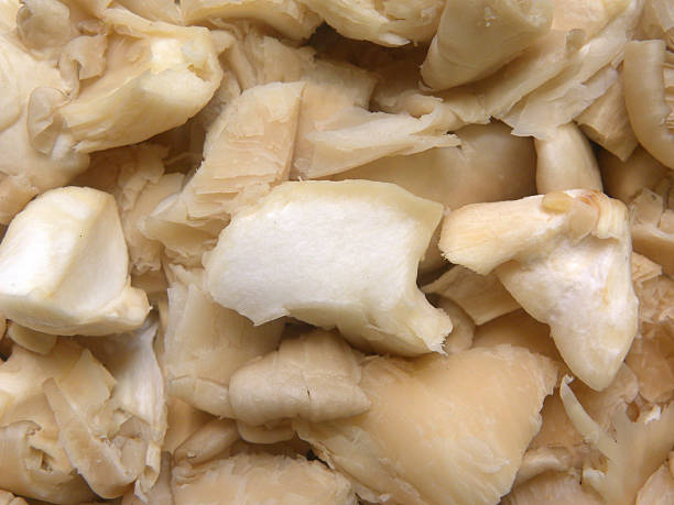 istock Cut oyster mushroom 2222511459