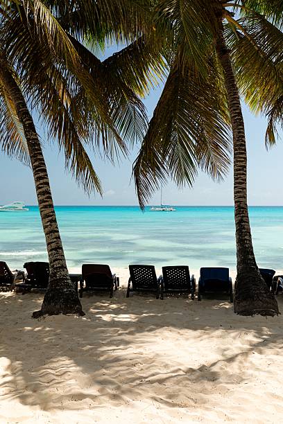 istock Tropical Lounge Chairs Under Palm Trees Facing the Caribbean Sea 2222513224