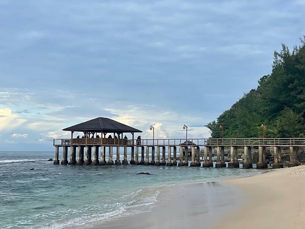 istock Peaceful Beach with Wooden Pier and Cloudy Sky 2222520756