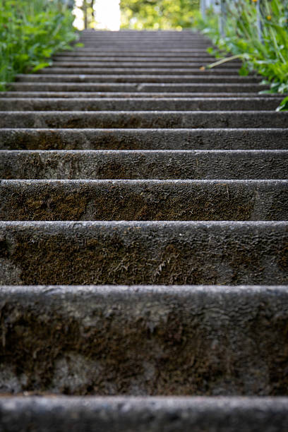 Mossy Concrete Staircase in Outdoor Setting. Industrial style.