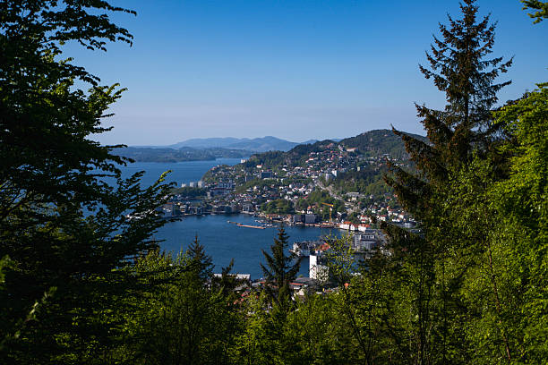 Aerial view through forest of Bergen city and fjord, daytime