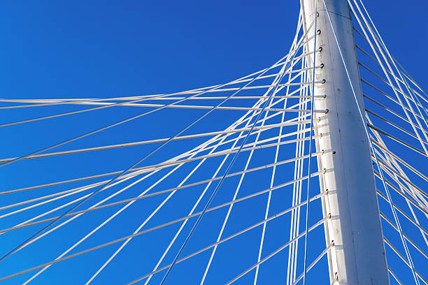 A detailed view of a cable-stayed bridge architecture with taut cables against the vibrant blue sky. The image highlights the beauty of modern engineering and its harmonious interaction with nature