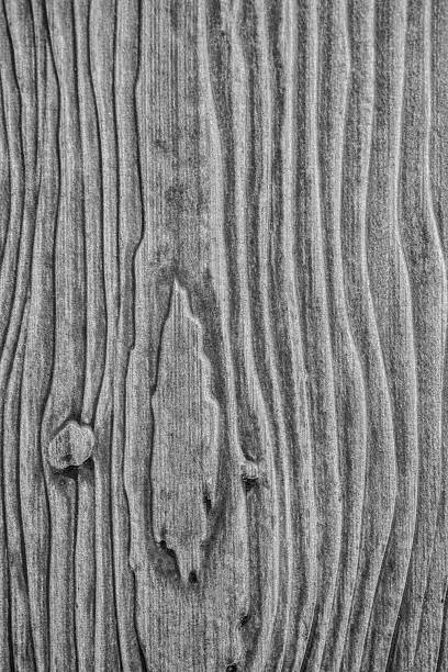 Wooden texture with natural pattern for background. Black and white.