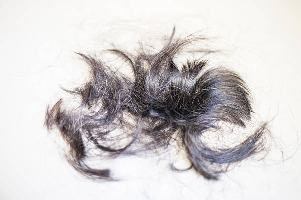 istock Gray and black hair is piled up on a black back. 2222543308