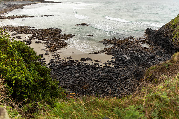 istock Pacific Ocean from Second Beach, Dunedin, New Zealand 2222543309