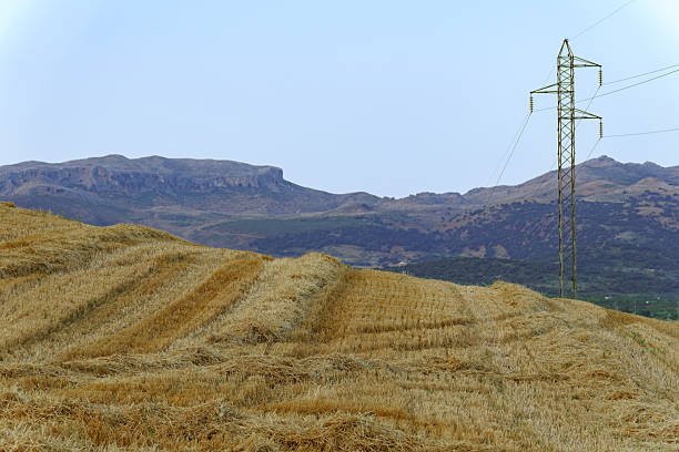 Golden harvested wheat field with electricity pylon and mountains in the background under clear sky