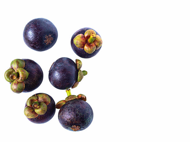 istock Top view of fresh mangosteen fruit isolated on white background. 2222557731