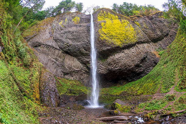 istock Latourell Falls, Columbia River Gorge, OR 2222561522