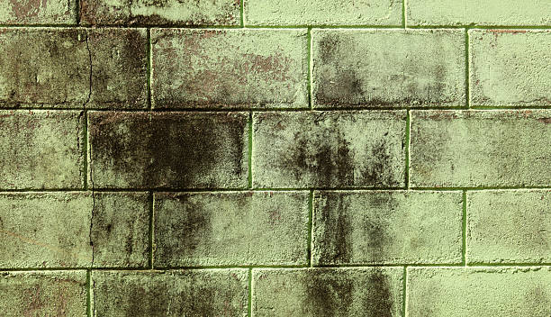 istock A wall with a greenish color and some spots 2222562131
