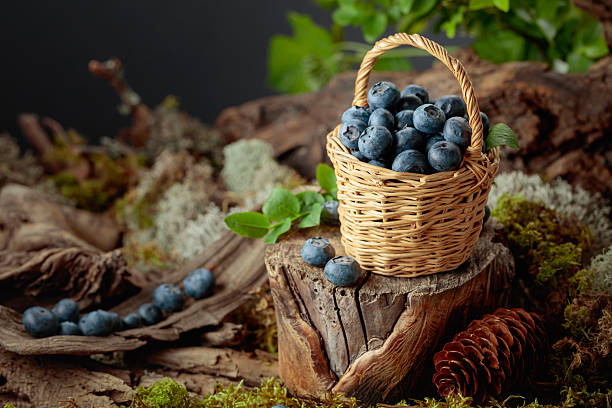 istock Small wicker basket filled with ripe blueberries. 2222569142
