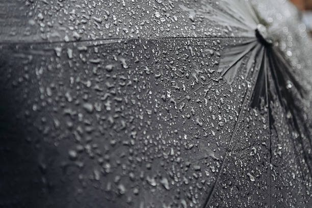 istock black umbrella with large raindrops 2222571695