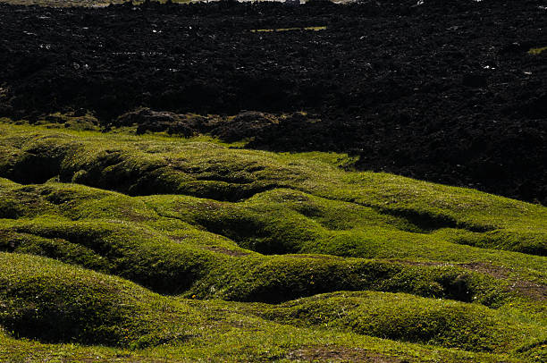 Icelandic landscapes with black volcanic soil