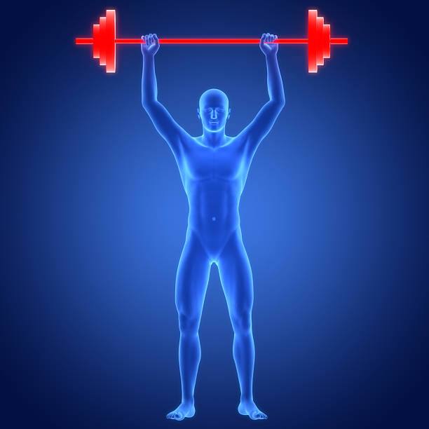 Strong man performing overhead squat, pressing barbell up. Routine workout for physical and mental health.